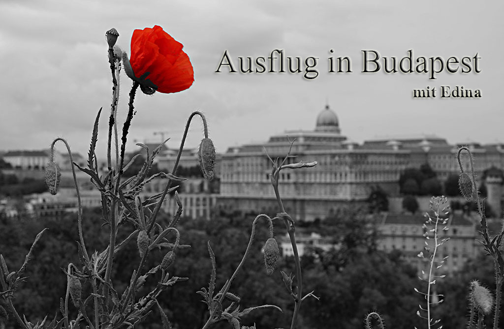 Ausflug in Budapest